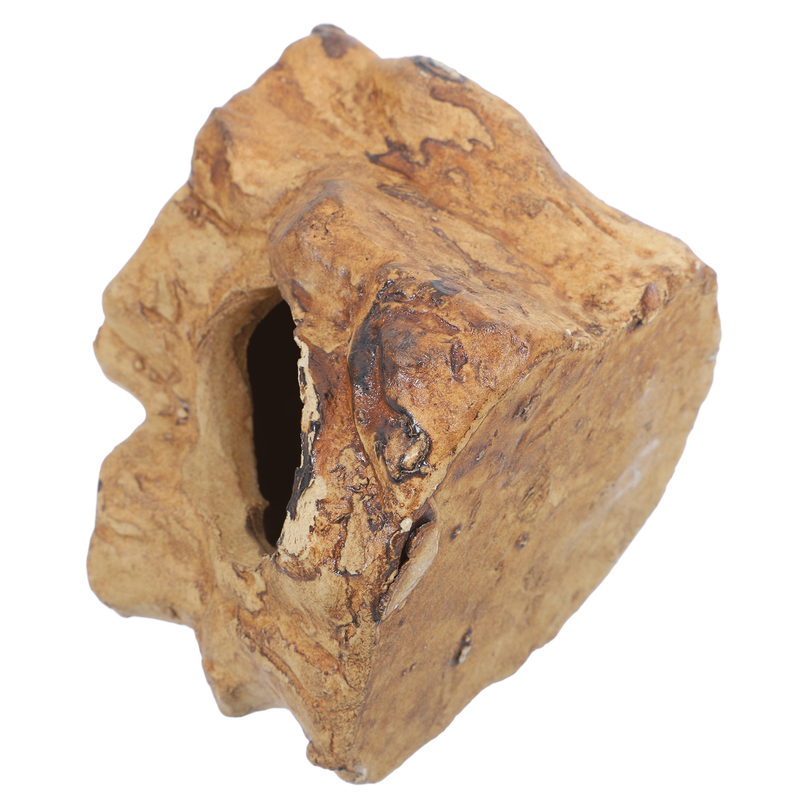Premium Ceramic Aquarium Caves - đánh giá và giá Hide Cave Ceramic