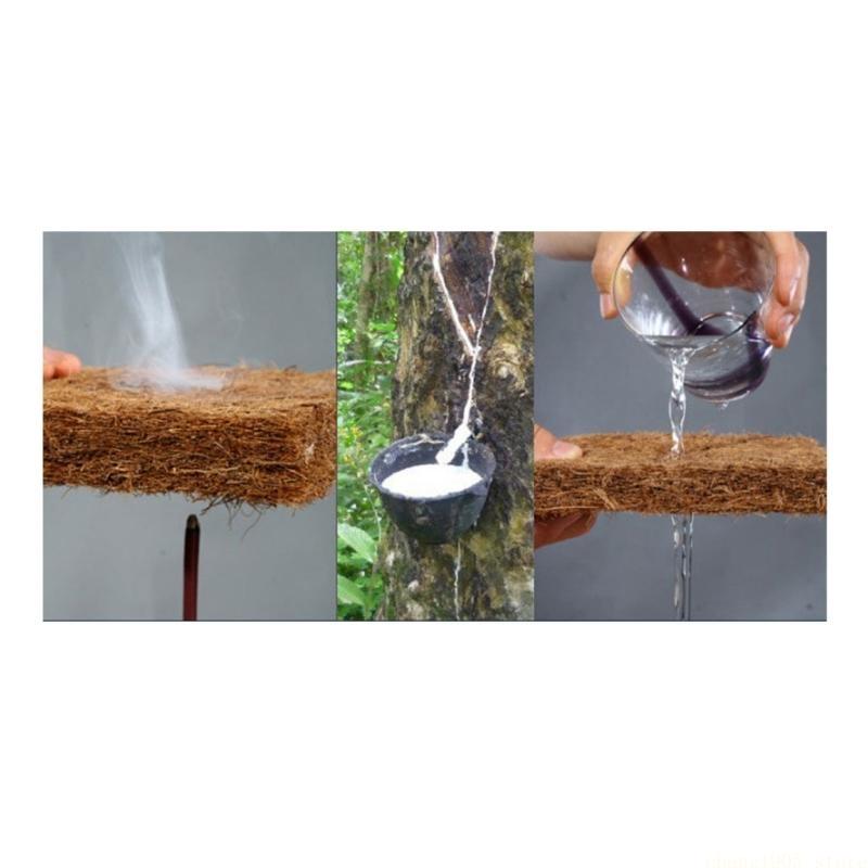 QX2E Loài Bò Sát Chăn Gối Cho  - đánh giá và giá Substrate Coconut Fiber