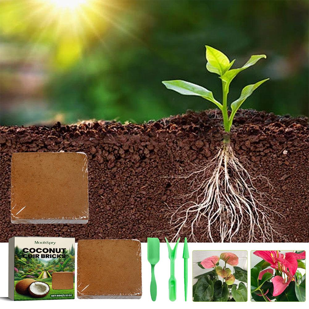 Reptile Coconut Soil Coir Pres - đánh giá và giá Substrate Coconut Fiber