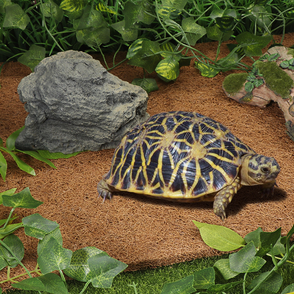 Coconut Substrate for Reptile  - đánh giá và giá Substrate Coconut Fiber