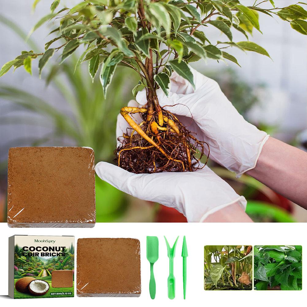 Coconut Coir Fiber Brick - Org - đánh giá và giá Substrate Coconut Fiber