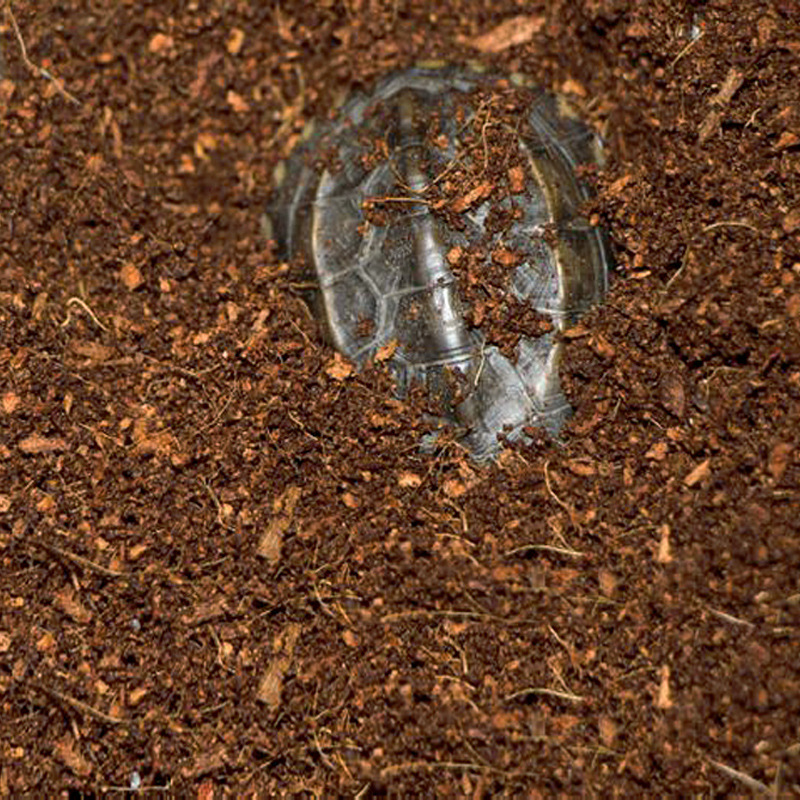 WAJABABY Ready-to-Use Coco Coi - đánh giá và giá Substrate Coconut Fiber