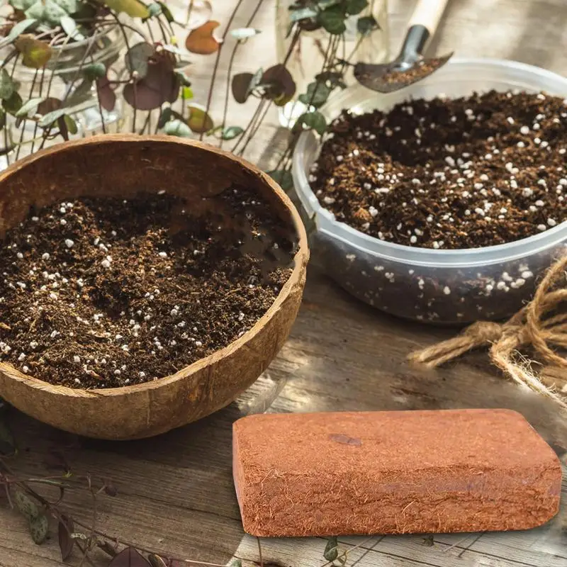 Reptile Coconut Soil Natural C - đánh giá và giá Substrate Coconut Fiber