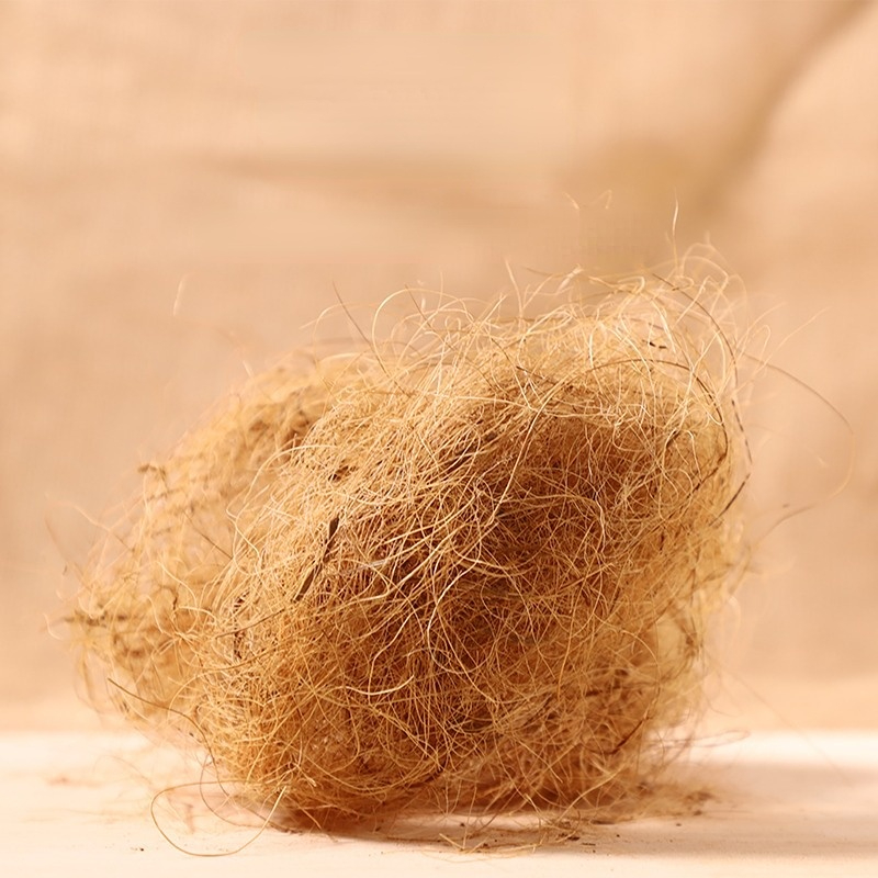 100g Finch Coconut Fiber Loose - đánh giá và giá Substrate Coconut Fiber
