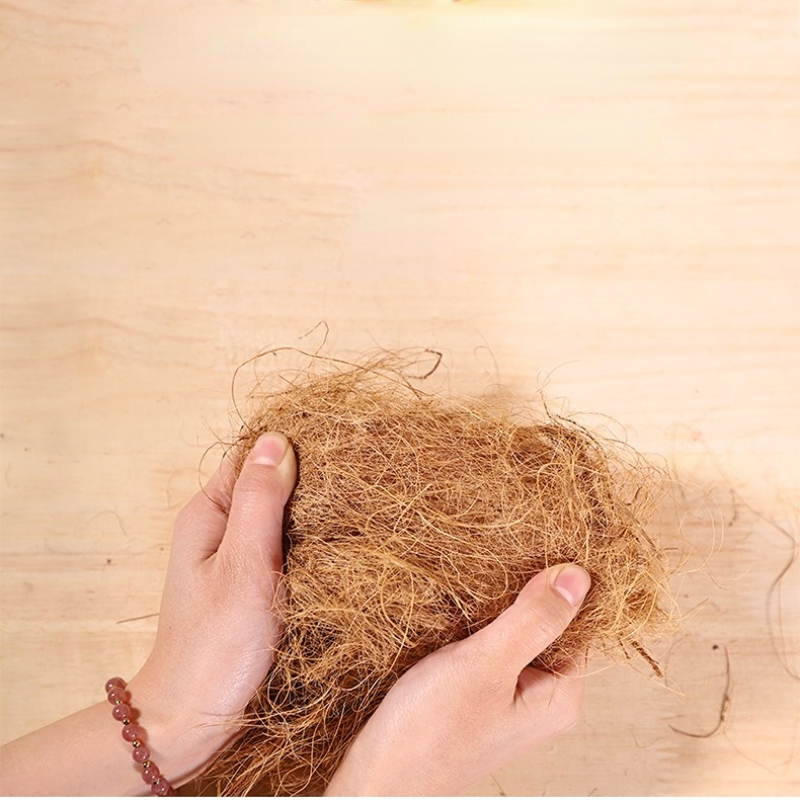 100g Finch Coconut Fiber Loose - đánh giá và giá Substrate Coconut Fiber