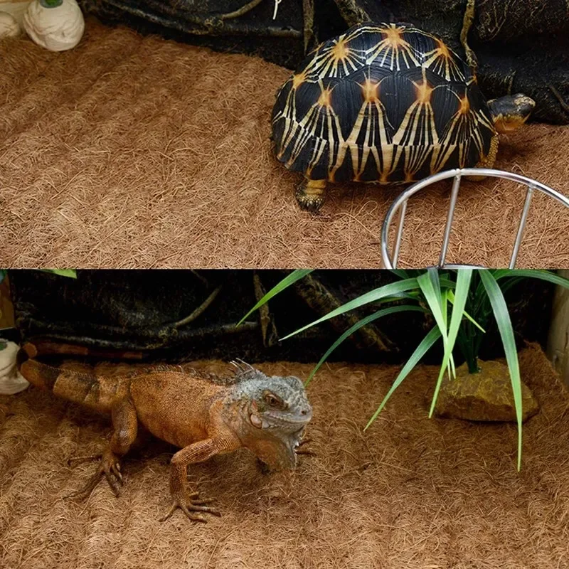 Reptile Carpet Natural Coconut - đánh giá và giá Substrate Coconut Fiber
